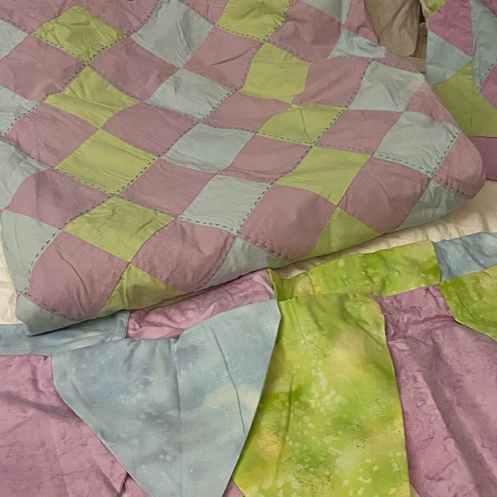 Land of Nod Full size Duvet Shams & Custom Valance